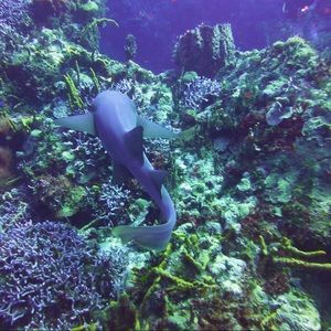 ☀️☀️☀️☀️